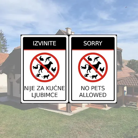 Zlatiborska Belina / White * Zlatibor