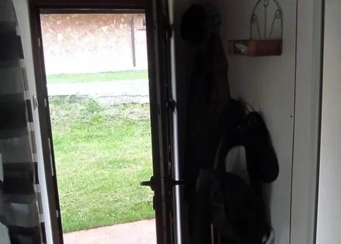 Zlatiborska Belina / White